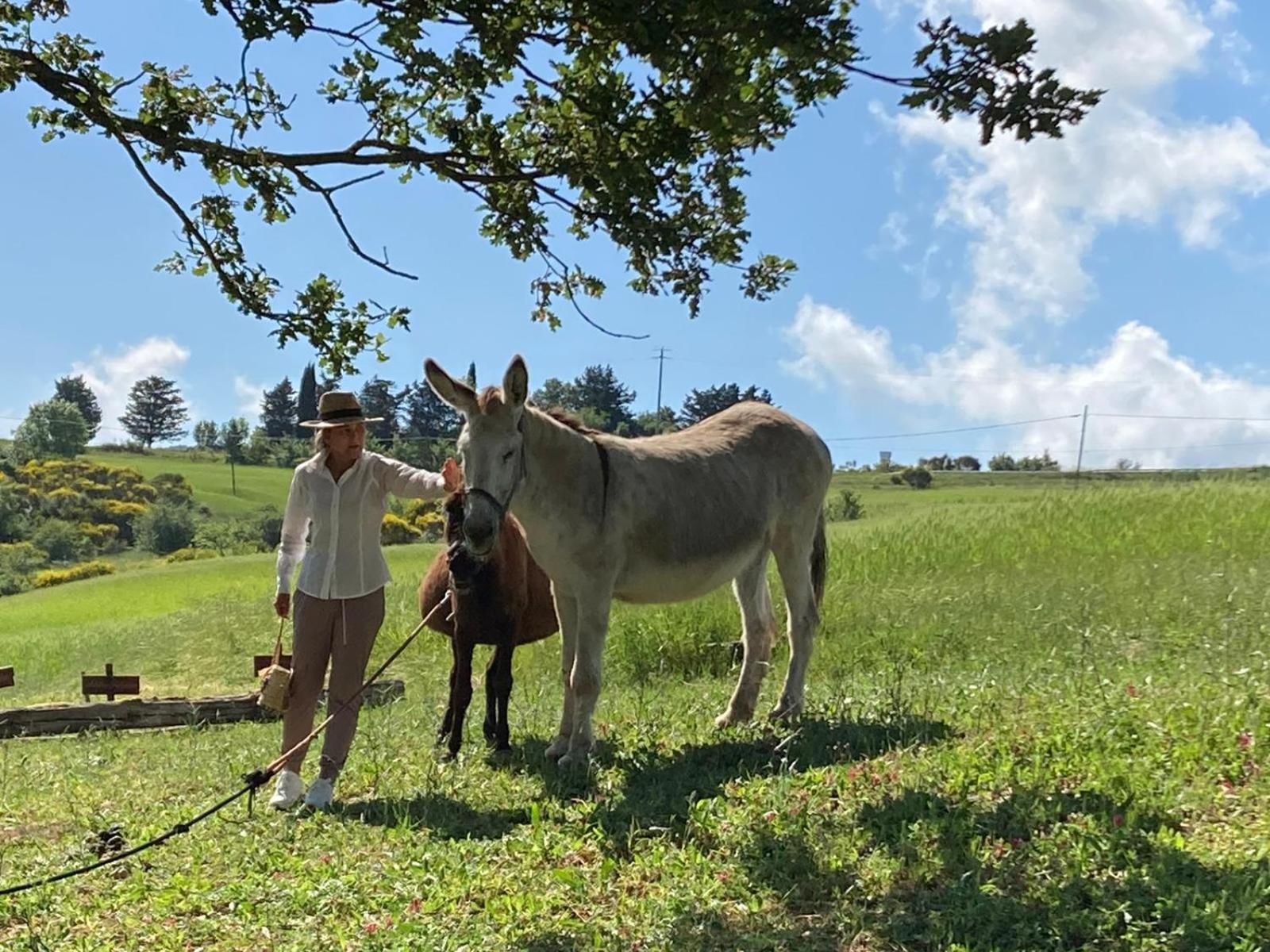 Agriturismo Selvella Radicofani Εξωτερικό φωτογραφία
