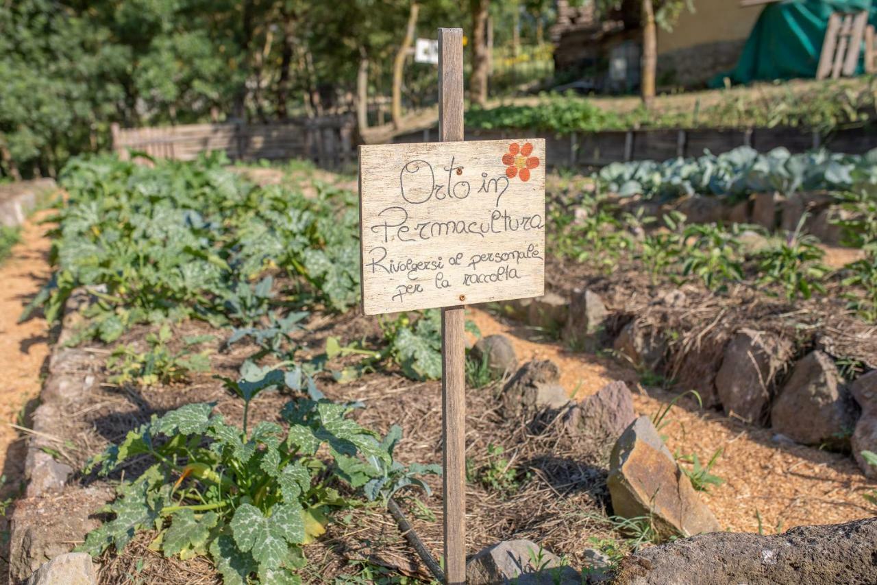 Agriturismo Selvella Radicofani Εξωτερικό φωτογραφία